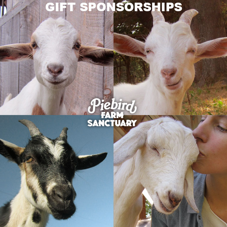 Farm Sanctuary Gift Sponsorship