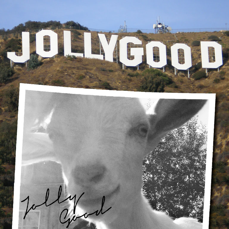 jollygood goat TVO