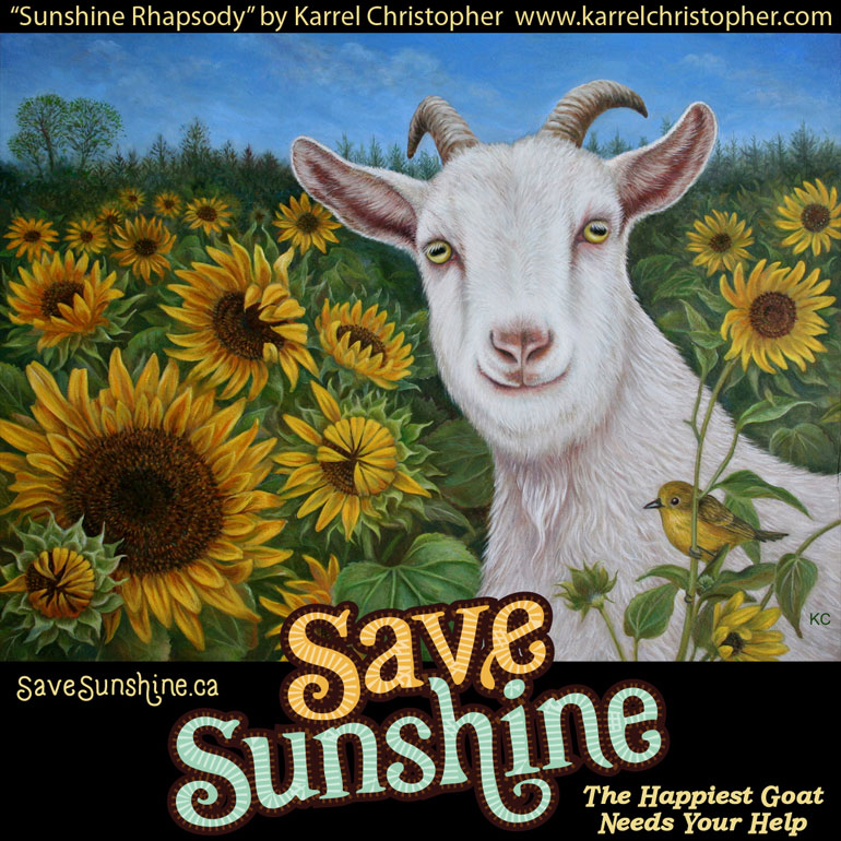 Save Sunshine, the happiest goat