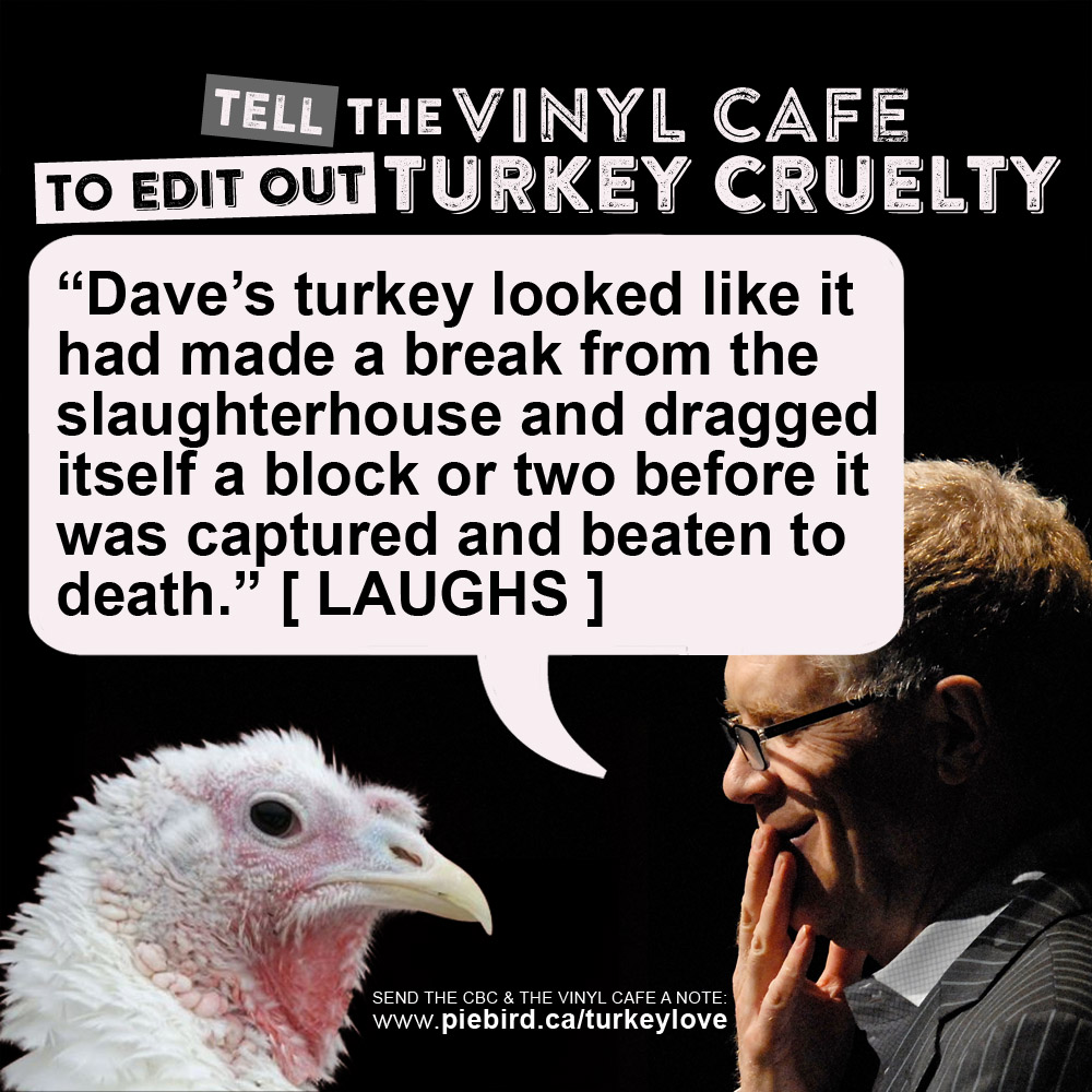 Vinyl Cafe - Stuart McLean